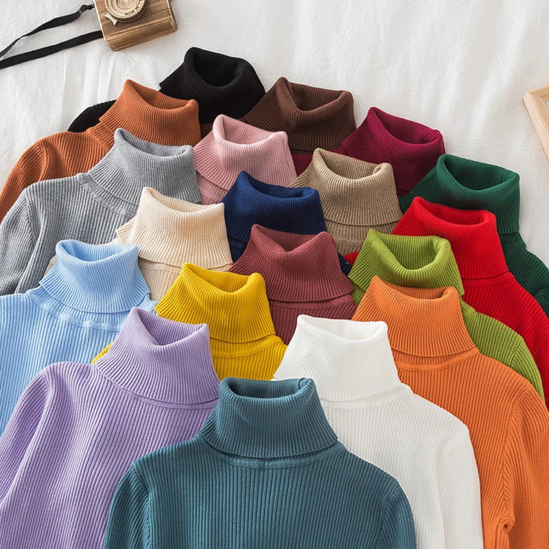Turtleneck Sweater