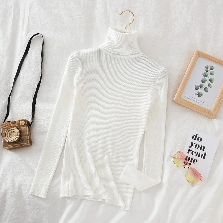 Turtleneck Sweater
