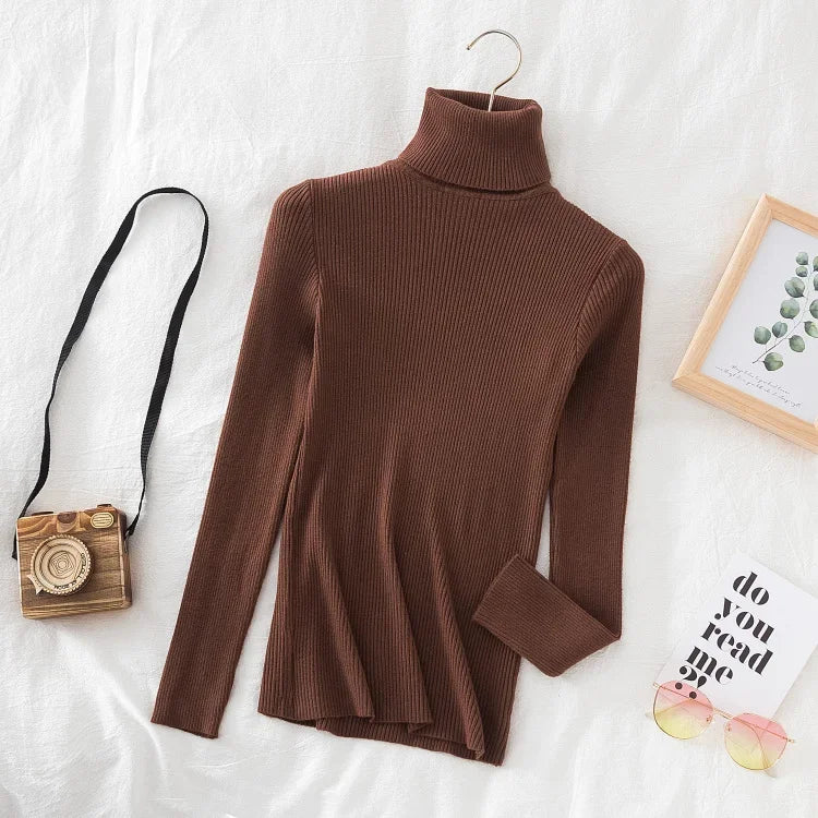 Turtleneck Sweater