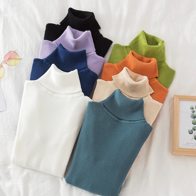 Turtleneck Sweater