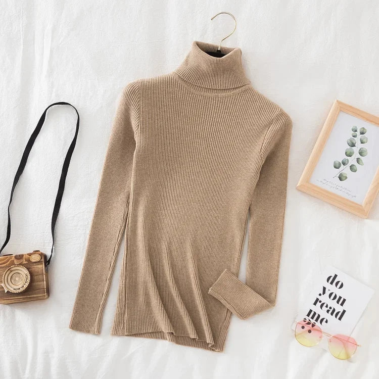 Turtleneck Sweater