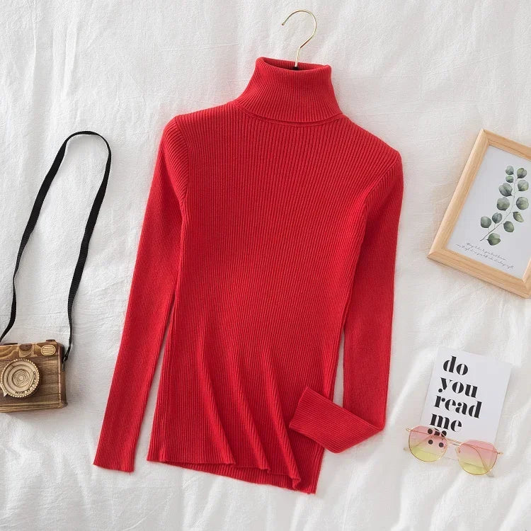 Turtleneck Sweater