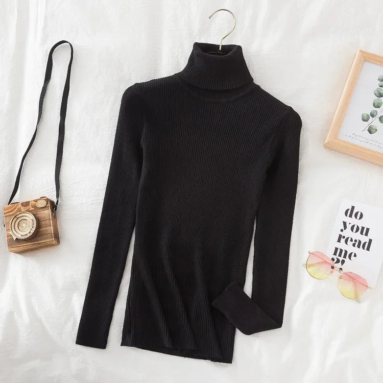 Turtleneck Sweater